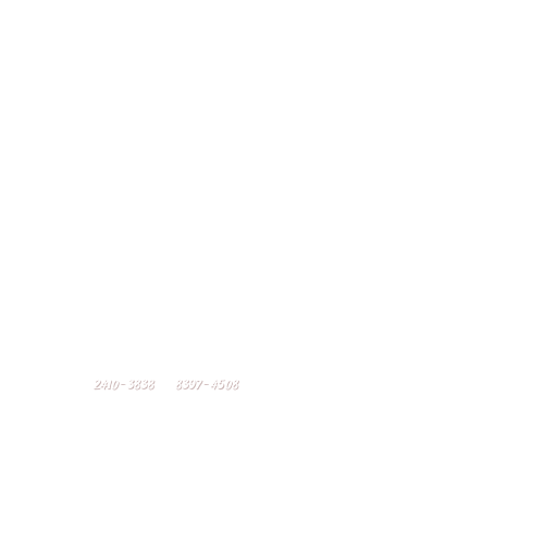 Pizza'Bor Express Logo
